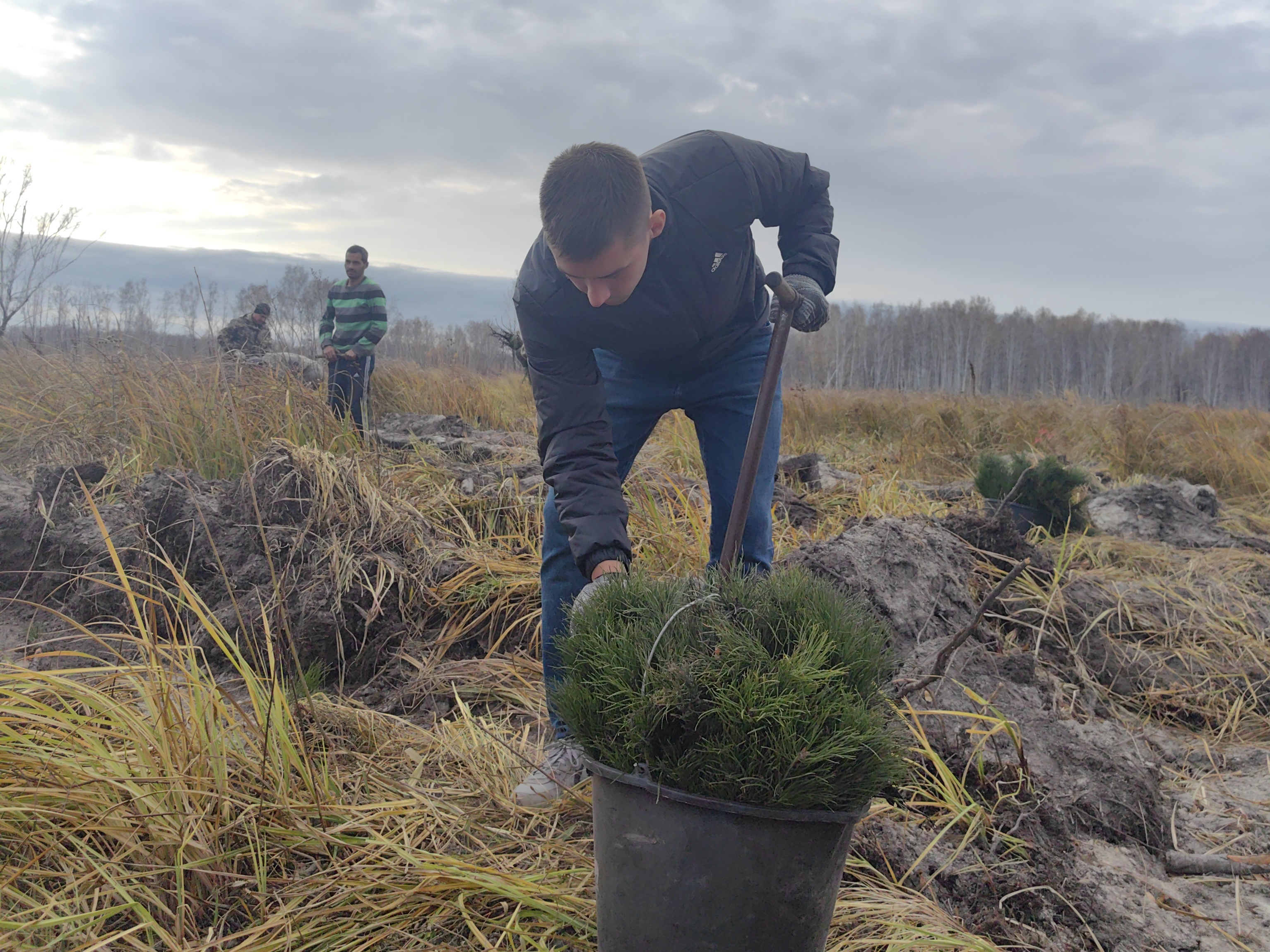 Сотрудники МТУ Ространснадзора по СФО приняли участие во Всероссийской акции «Сохраним лес» В омском районе Омской области